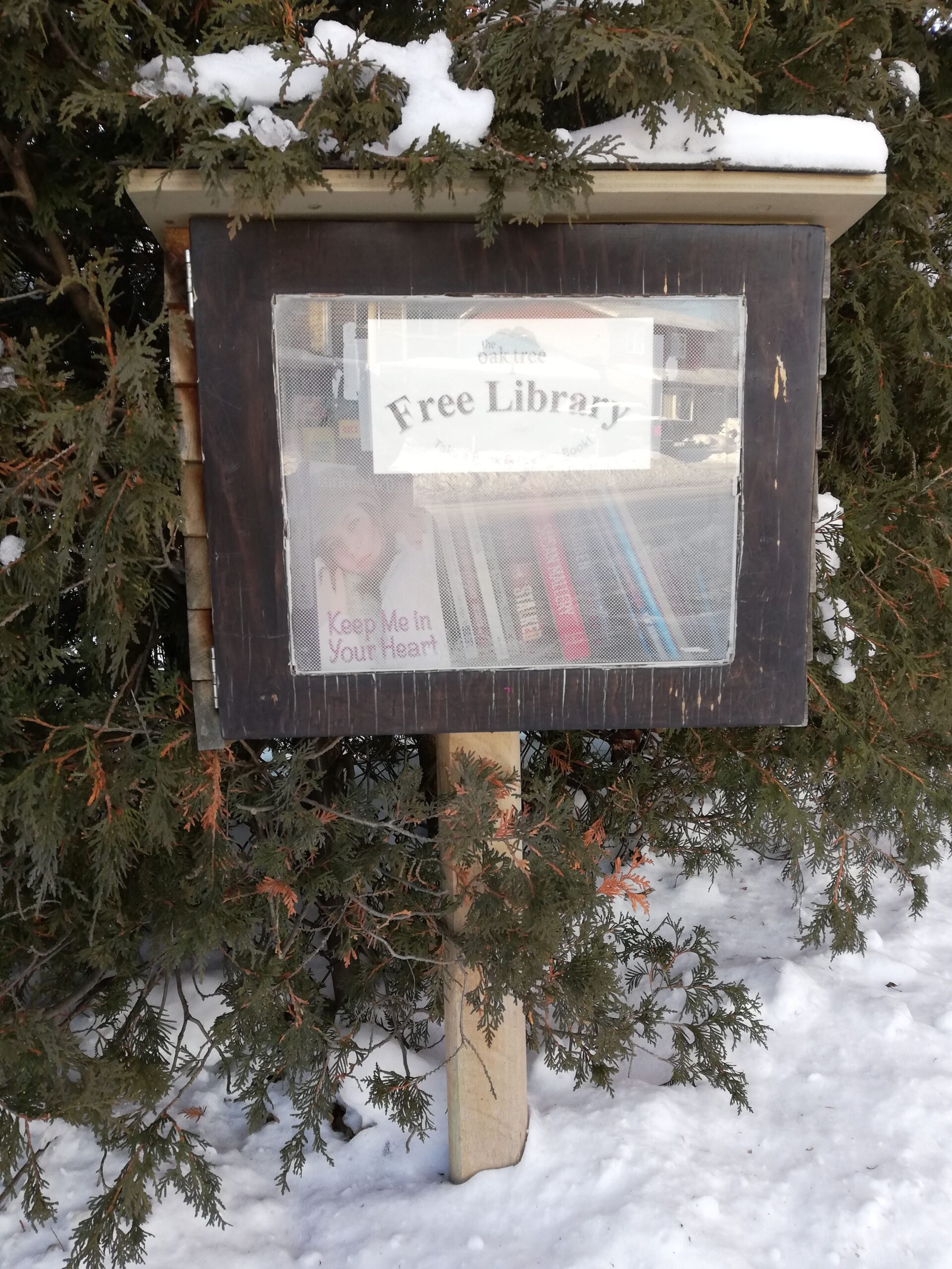 Build Your Own Little Free Library