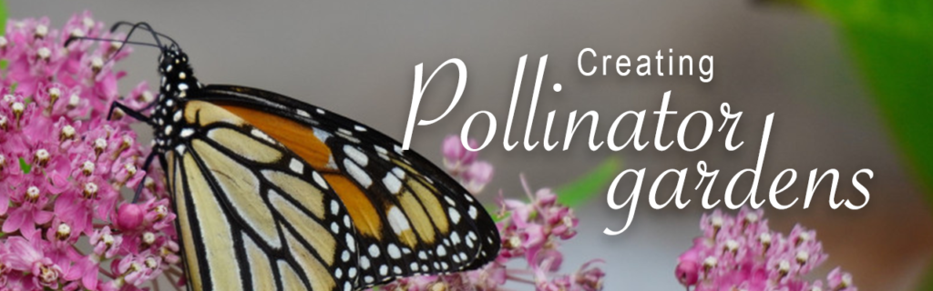 Webinar Pollinator Gardens
